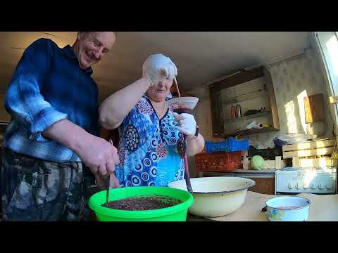 Видео: Соленое сало и кровяная колбаса