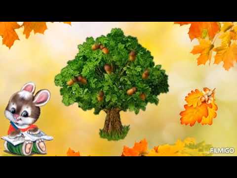 Видео: Ознайомлення з природнім довкіллям: "Листопад." Молодша група