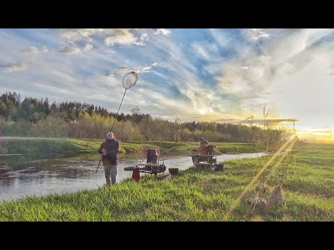 Видео: Лёгкий фидер на малой реке.