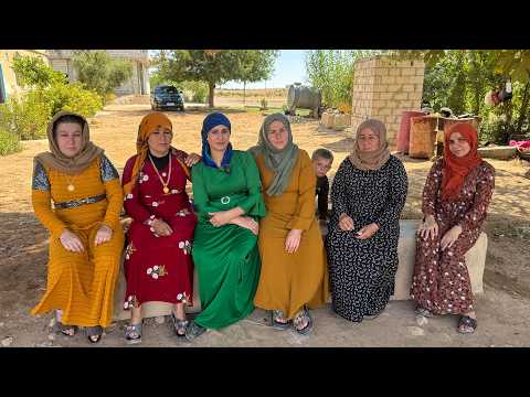 Видео: В поисках секретной целебной травы в горах 🌿😳