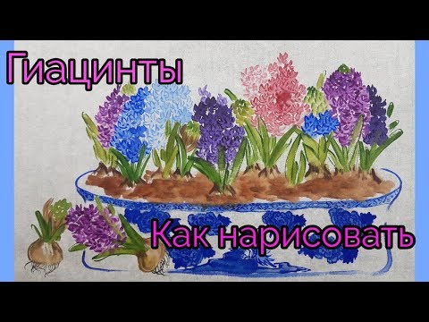 Видео: Как рисовать Гиацинты видео урок How to draw Hyacinths tutorial 히아신스 그림 그리기