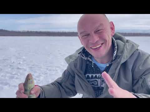 Видео: Гигантский окунь! оз. ОРОН 2025