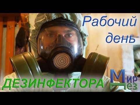 Видео: Рабочий день дезинфектора