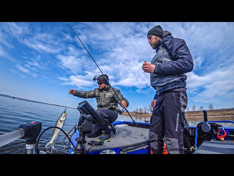 Видео: ТАКОГО КОЛИЧЕСТВА СУДАКА НАМ И НЕ СНИЛОСЬ. Паноптикс на течении. Тактика 430 фиш и Mikatsu 30