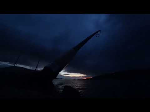 Видео: #РЫБАЛКА #ЛЕЩА ОСЕННИЙ ВЫЕЗД НА ЛЕЩА ! ВОТ ЭТО РАЗДАЧА ! 