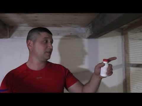 Видео: Профилактика от кокцидоза у попугаев.