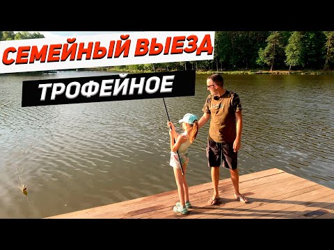 Видео: Озеро Трофейное | Семейный карпфишинг, ловля карпа на чиле