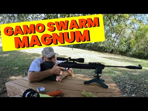 Видео: GAMO SWARM MAGNUM, хронограф, спусковой крючок и плинканг