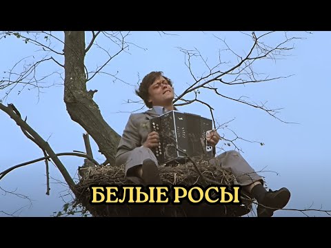 Видео: ЛУЧШИЕ ФИЛЬМЫ ДЛЯ ДУШИ / БЕЛЫЕ РОСЫ
