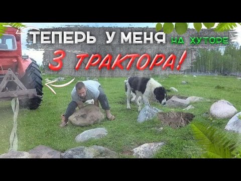Видео: КУРИНЫЙ ТРАКТОР ЗАСЕЛЕН. КОРЧУЕМ ВАЛУНЫ Т-40 И Я.