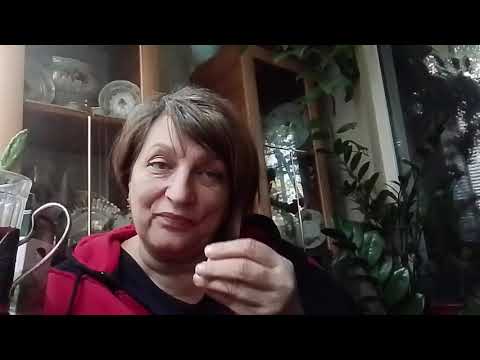 Видео:  Субботние посиделки. Посмотрела интересный ролик про то, как устроена наша жизнь.