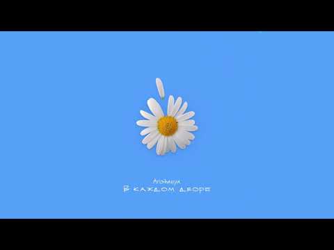 Видео: Arishanya - В каждом дворе
