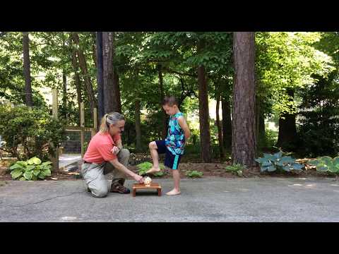 Видео: Установка ноги на скамейку: упражнения физической терапии для детей для равновесия № 4