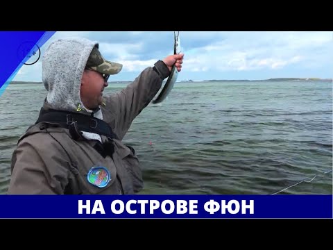 Видео: На острове Фюн // География нахлыста