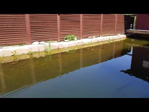 Видео: Пруд бывает разным: )
