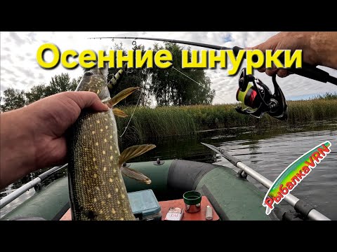 Видео: [2025]Рыбалка на спиннинг в сентябре