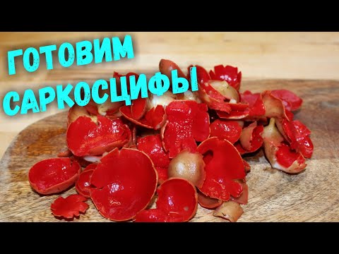 Видео: Как приготовить САРКОСЦИФЫ.  Первые весенние грибы.