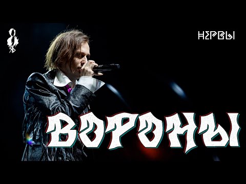 Видео: Ярослав Баярунас - Вороны (cover «Нервы»)