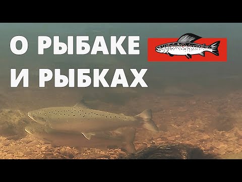 Видео: О Рыбаке и Рыбках