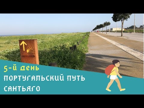 Видео: 5-й день Португальского пути Сантьяго | от Vila Praia de Ancora до Guarda