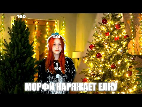 Видео: МОРФИ НАРЯЖАЕТ ЕЛКУ К НОВОМУ ГОДУ