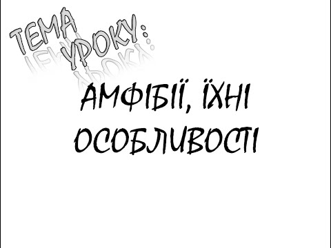 Видео: АМФІБІЇ , ЇХ ОСОБЛИВОСТІ