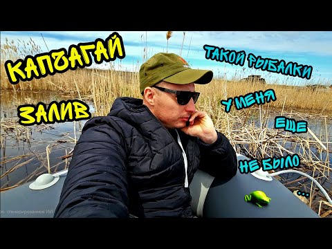 Видео: Тупиковый залив Капчагайского водохранилища — рыбалка в глухом месте #рыбалка #fishing #рыба #fish