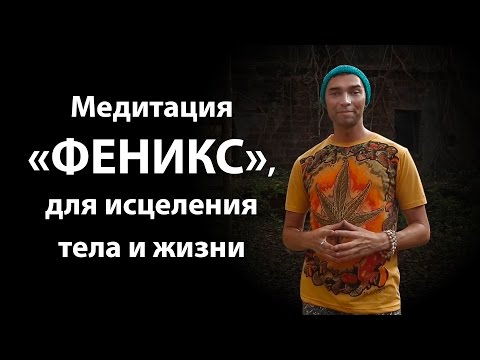 Видео: Владимир Горохов. Тета хиллинг медитация «ФЕНИКС», для исцеления тела, жизни, для расслабления