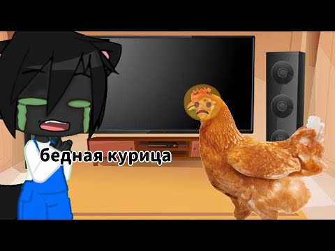 Видео: реакция Симбочки на "один день из моей жизни"