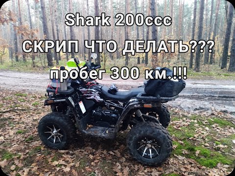 Видео: Квадроцикл SHARK 200 УЖАСНЫЙ  СКРИП /пробег 300км/ Смазка цепи