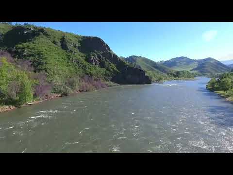 Видео: Алтайский край.  Река долины Чарыш. Июль, 2023г.   Любимые, родные места моего детства.
