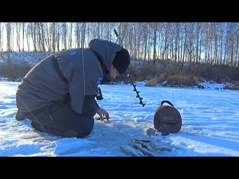 Видео: ЭТА ПРИМАНКА РЕАЛЬНО РАБОТАЕТ!!! СОРОГА (ПЛОТВА) ПО ПЕРВОМУ ЛЬДУ!!!