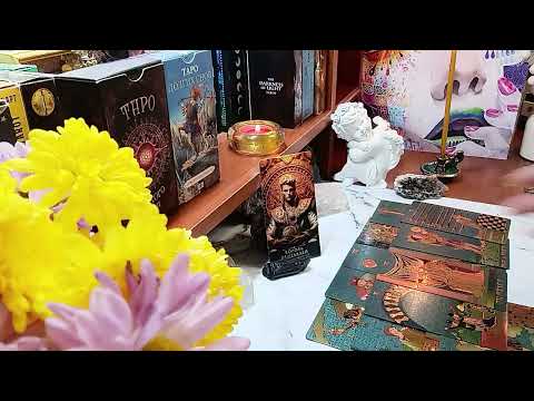 Видео: 4 КОРОЛЯ 🫅 ходок ты, или однолюб? 🔥👿😱🕵️❤️💯#таро #tarot #гадание #love 
