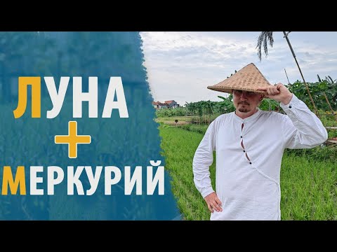 Видео: ЛУНА и МЕРКУРИЙ | СОЕДИНЕНИЕ ПЛАНЕТ | Дмитрий Пономарев