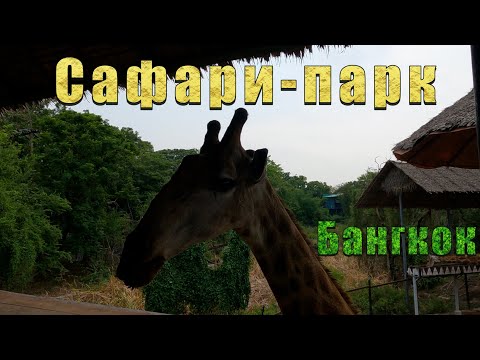 Видео: Сафари-парк/Бангкок/Таиланд/Животные в естественной среде/Шоу/Safari World Bangkok