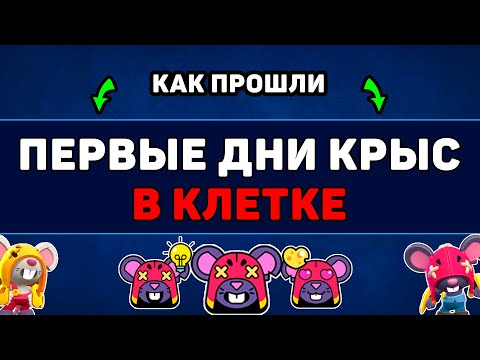 Видео: КАК ПРОШЛА ПЕРВАЯ НЕДЕЛЯ АДАПТАЦИИ КРЫС ПОСЛЕ ИХ ПОКУПКИ