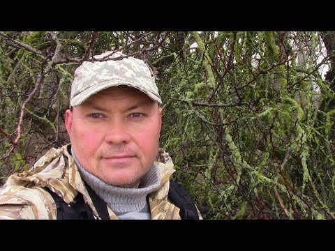Видео: Поход к лечебному роднику , встреча с диким кабаном