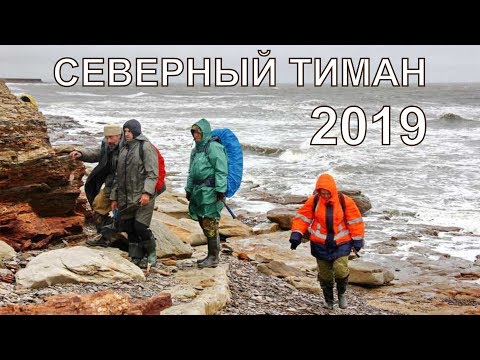 Видео: Северный Тиман - 2019. Полевые будни палеонтологической экспедиции на побережье Чёшской губы