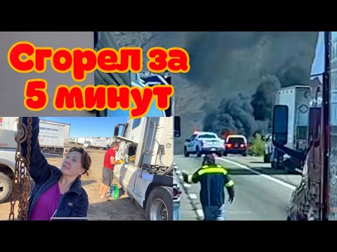 Видео: Скрытая проверочная станция инспекции траков в Техасе. Дальнобой по США 2023