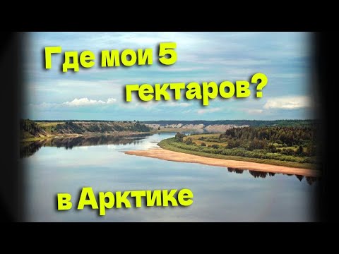 Видео: Показываю, где мои 5 гектаров в "Арктическом гектаре"