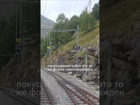 Видео: Рубрика "Вопрос-ответ"