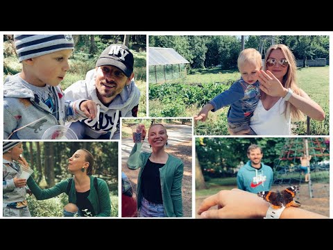 Видео: ВЛОГ 299! Собираем урожай в лесу, в гостях у дедушки! Ручная бабочка