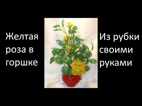 Видео: Желтая роза в горшке — часть 3