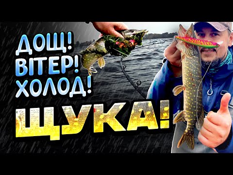 Видео: 🌊Собачий холод, вітер і дощ — але щука клює! Екстремальна риболовля на Дніпрі 🎣