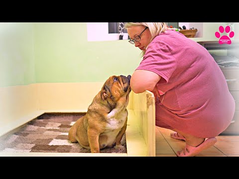 Видео: Когда же ты родишь Ляля?