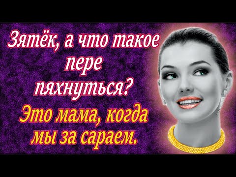 Видео: Теперь работаю на зятя