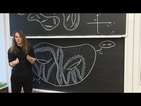 Видео: Лекция 12 | Теория узлов | Теорема Ликориша — Уоллеса, Инь-Ян, торические червоточины