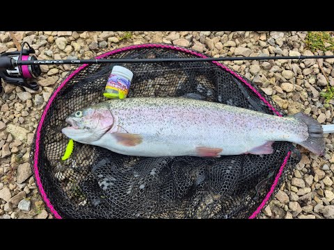 Видео: Форель предпочитает это! Рыбалка осенью ловля на спиннинг. 