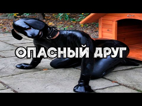 Видео: Dawg & Ko Смотрят Фильм "Опасный Друг"