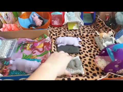 Видео: купание сквиши собачек